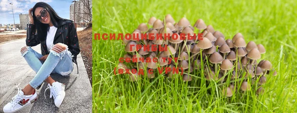 бошки Горняк