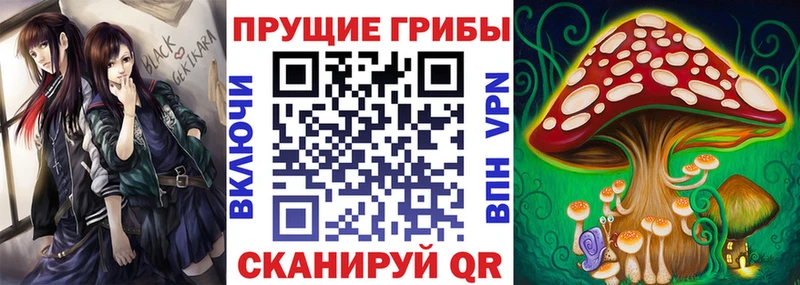 Псилоцибиновые грибы Psilocybine cubensis  Назрань 
